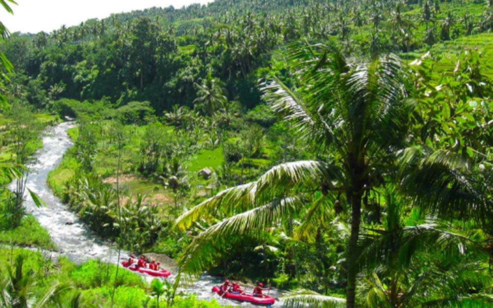 Ayung River – Bali’s Iconic White Water Rafting Destination