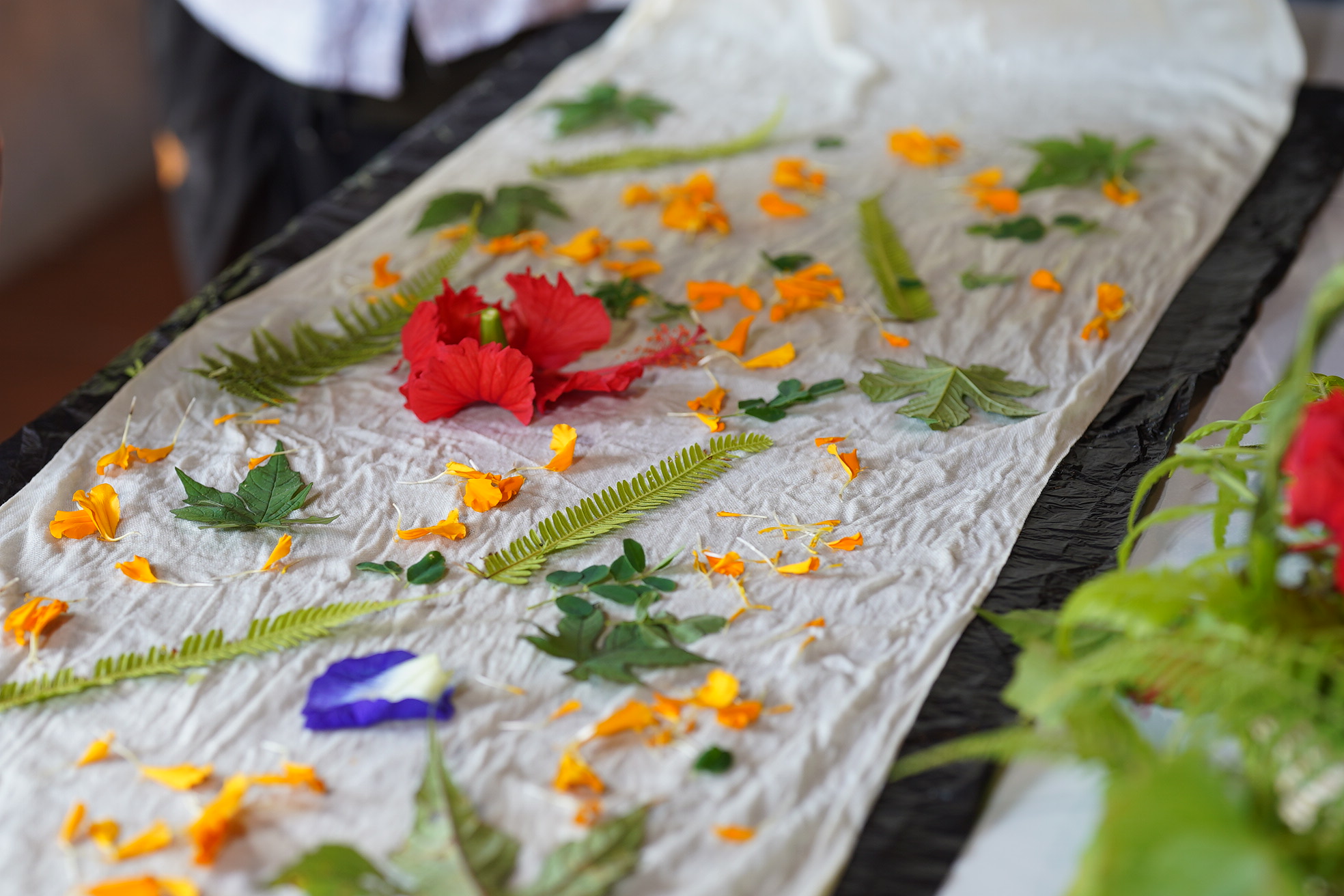 Activity~23~2026 08 13~Eco Printing