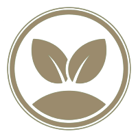 cultural_activities_icon